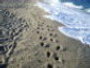 Cabo de Gata - Almera